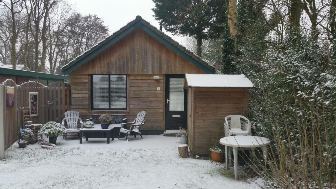 Vakantiehuis Duin Bos En Zee سكورل المظهر الخارجي الصورة