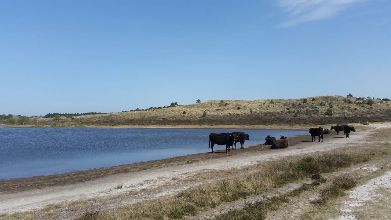 Vakantiehuis Duin Bos En Zee سكورل المظهر الخارجي الصورة