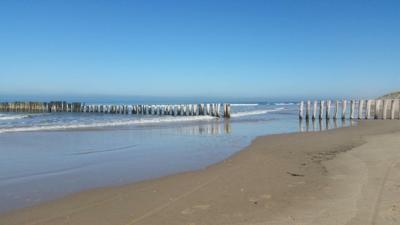 Vakantiehuis Duin Bos En Zee سكورل المظهر الخارجي الصورة