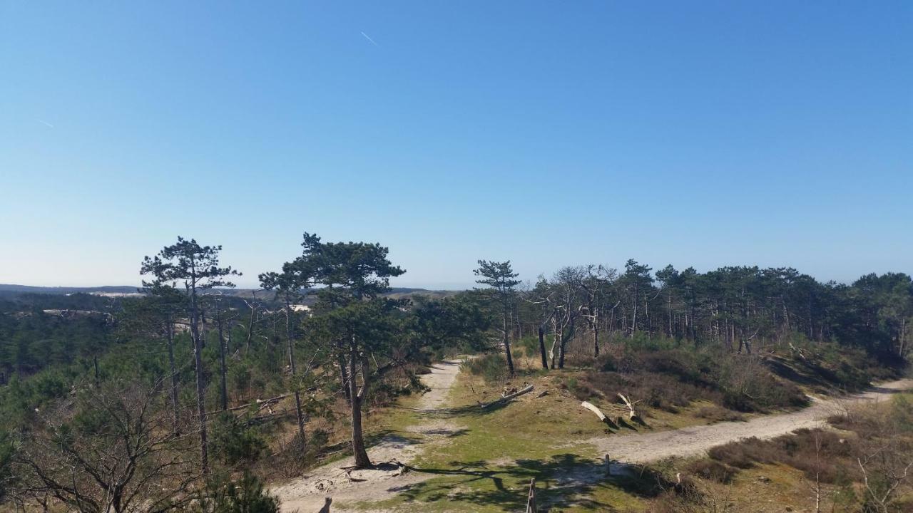 Vakantiehuis Duin Bos En Zee سكورل المظهر الخارجي الصورة